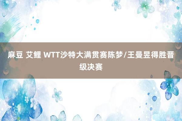 麻豆 艾鲤 WTT沙特大满贯赛陈梦/王曼昱得胜晋级决赛