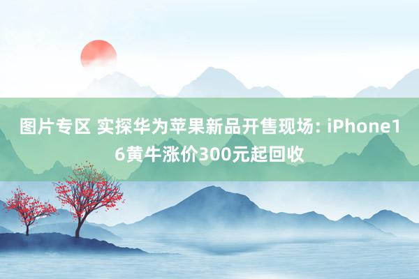 图片专区 实探华为苹果新品开售现场: iPhone16黄牛涨价300元起回收