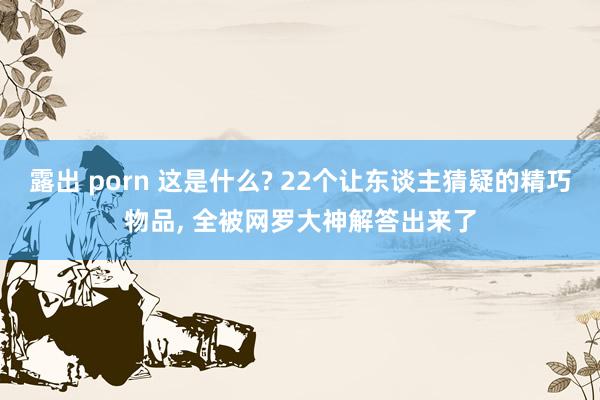 露出 porn 这是什么? 22个让东谈主猜疑的精巧物品， 全被网罗大神解答出来了