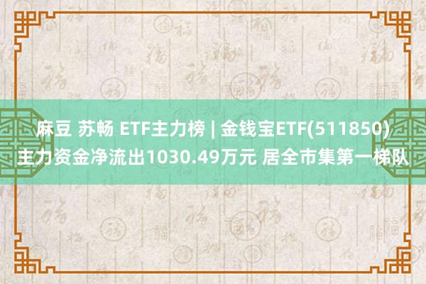 麻豆 苏畅 ETF主力榜 | 金钱宝ETF(511850)主力资金净流出1030.49万元 居全市集第一梯队