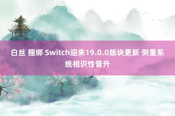 白丝 捆绑 Switch迎来19.0.0版块更新 侧重系统相识性晋升