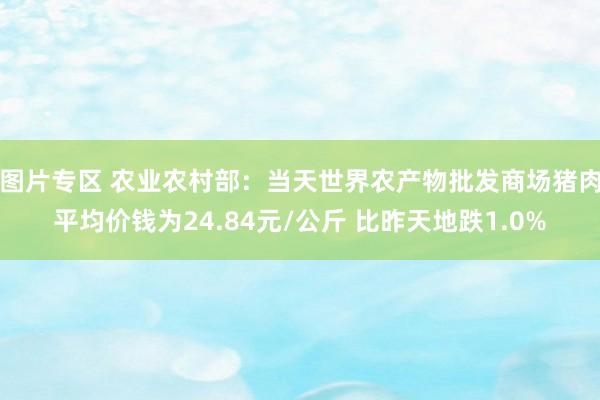 图片专区 农业农村部：当天世界农产物批发商场猪肉平均价钱为24.84元/公斤 比昨天地跌1.0%