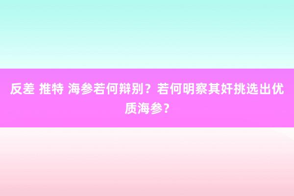 反差 推特 海参若何辩别？若何明察其奸挑选出优质海参？