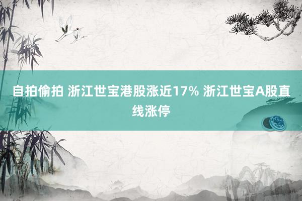 自拍偷拍 浙江世宝港股涨近17% 浙江世宝A股直线涨停