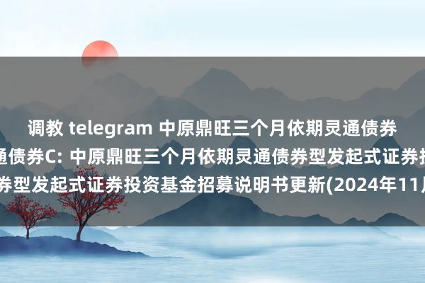 调教 telegram 中原鼎旺三个月依期灵通债券A，中原鼎旺三个月依期灵通债券C: 中原鼎旺三个月依期灵通债券型发起式证券投资基金招募说明书更新(2024年11月28日公告)