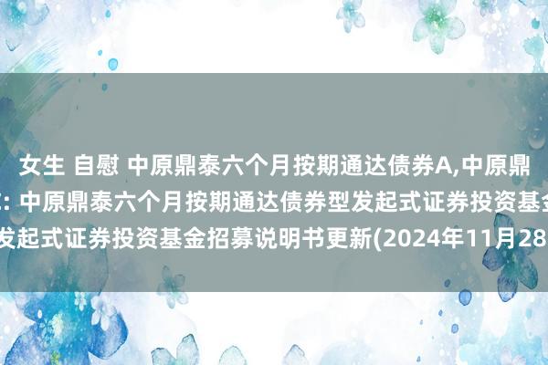 女生 自慰 中原鼎泰六个月按期通达债券A，中原鼎泰六个月按期通达债券C: 中原鼎泰六个月按期通达债券型发起式证券投资基金招募说明书更新(2024年11月28日公告)