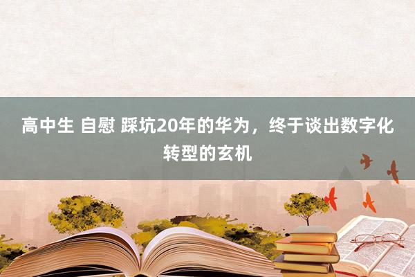 高中生 自慰 踩坑20年的华为，终于谈出数字化转型的玄机