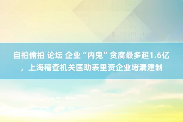 自拍偷拍 论坛 企业“内鬼”贪腐最多超1.6亿，上海稽查机关匡助表里资企业堵漏建制