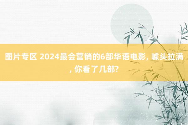 图片专区 2024最会营销的6部华语电影， 噱头拉满， 你看了几部?