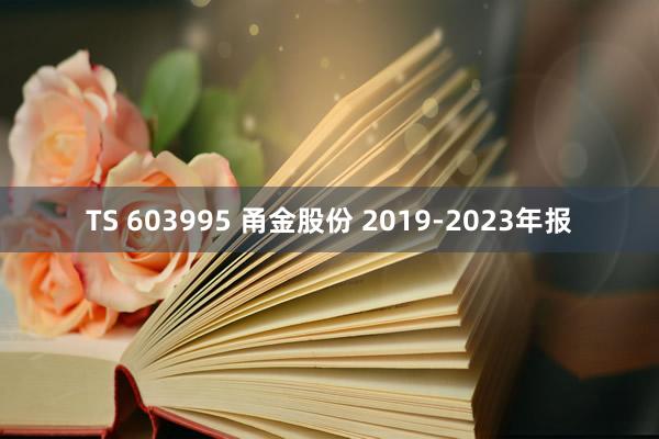 TS 603995 甬金股份 2019-2023年报